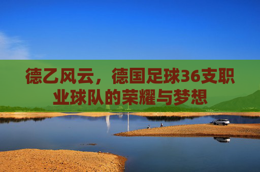 德乙风云，德国足球36支职业球队的荣耀与梦想