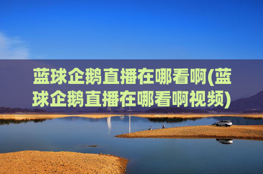蓝球企鹅直播在哪看啊(蓝球企鹅直播在哪看啊视频)