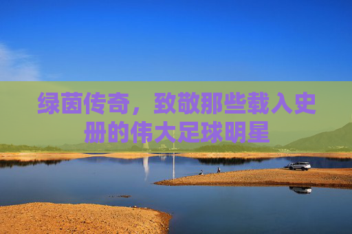 绿茵传奇,致敬那些载入史册的伟大足球明星