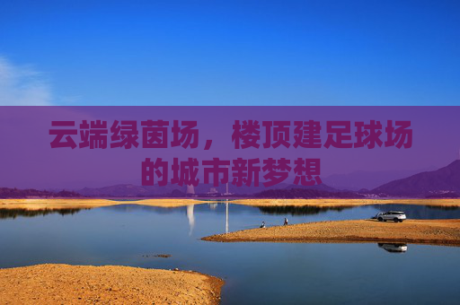 云端绿茵场,楼顶建足球场的城市新梦想