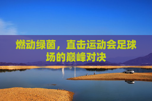 燃动绿茵,直击运动会足球场的巅峰对决