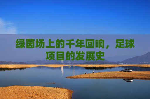 绿茵场上的千年回响,足球项目的发展史