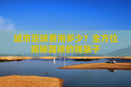 城市足球费用多少？全方位揭秘踢球的钱袋子