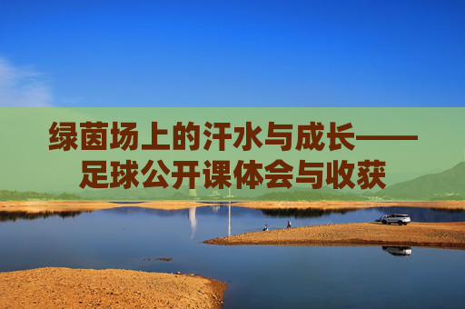 绿茵场上的汗水与成长——足球公开课体会与收获