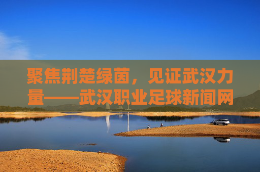 聚焦荆楚绿茵,见证武汉力量——武汉职业足球新闻网