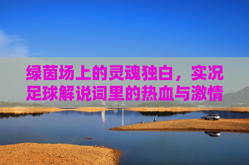 绿茵场上的灵魂独白，实况足球解说词里的热血与激情