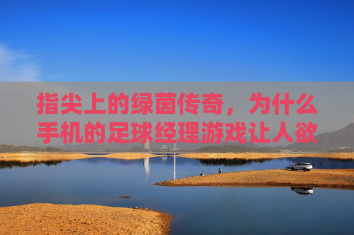 指尖上的绿茵传奇,为什么手机的足球经理游戏让人欲罢不能