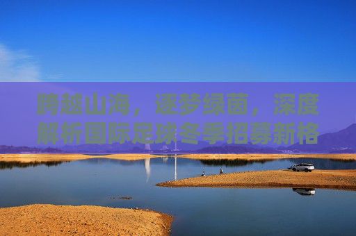 跨越山海,逐梦绿茵,深度解析国际足球冬季招募新格局