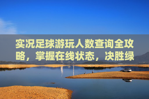 实况足球游玩人数查询全攻略,掌握在线状态,决胜绿茵赛场