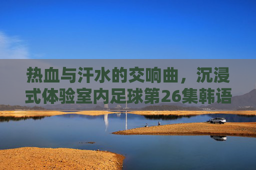 热血与汗水的交响曲,沉浸式体验室内足球第26集韩语版