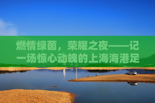 燃情绿茵,荣耀之夜——记一场惊心动魄的上海海港足球比赛