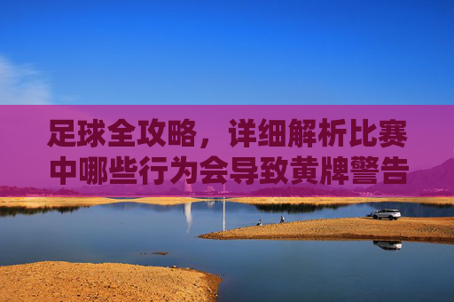 足球全攻略,详细解析比赛中哪些行为会导致黄牌警告