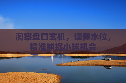 洞察盘口玄机,读懂水位,精准捕捉小球机会