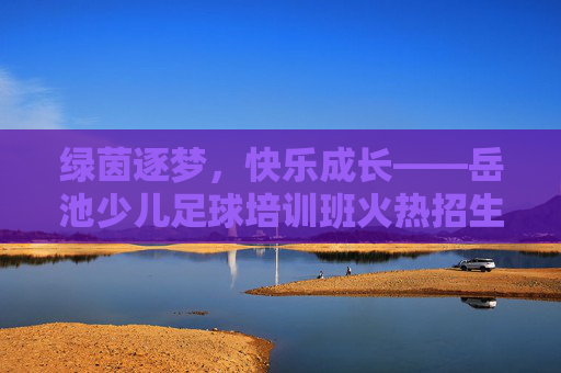 绿茵逐梦,快乐成长——岳池少儿足球培训班火热招生!