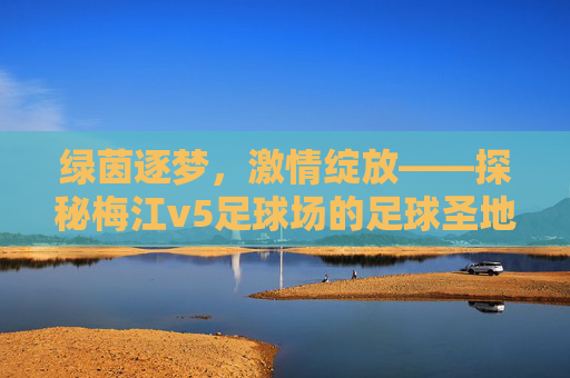 绿茵逐梦,激情绽放——探秘梅江v5足球场的足球圣地