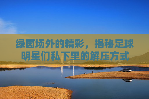 绿茵场外的精彩,揭秘足球明星们私下里的解压方式