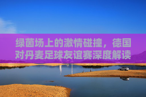 绿茵场上的激情碰撞,德国对丹麦足球友谊赛深度解读