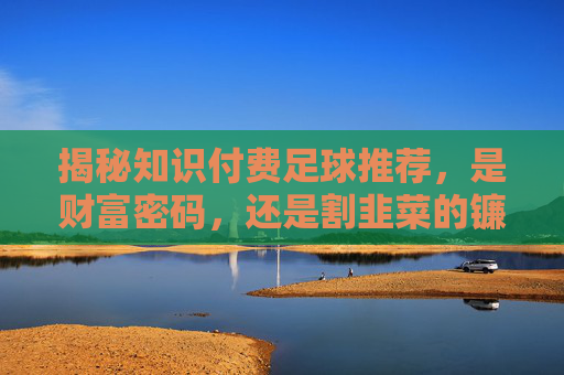 揭秘知识付费足球推荐,是财富密码,还是割韭菜的镰刀?