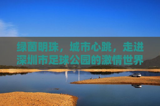 绿茵明珠,城市心跳,走进深圳市足球公园的激情世界