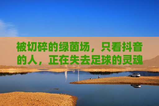 被切碎的绿茵场,只看抖音的人,正在失去足球的灵魂