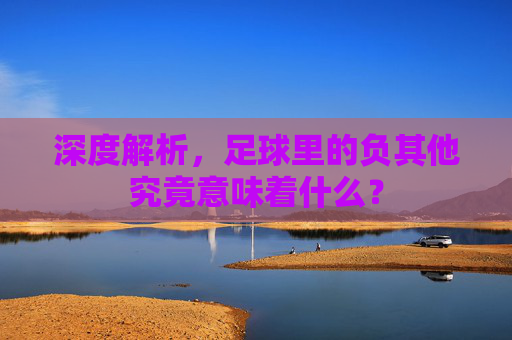 深度解析,足球里的负其他究竟意味着什么?