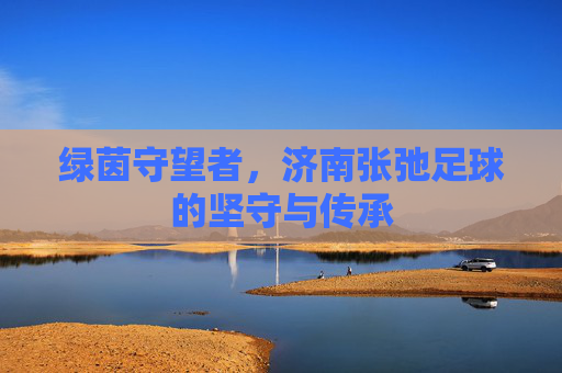 绿茵守望者,济南张弛足球的坚守与传承