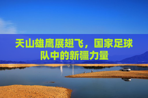 天山雄鹰展翅飞,国家足球队中的新疆力量