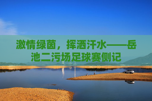激情绿茵,挥洒汗水——岳池二污场足球赛侧记
