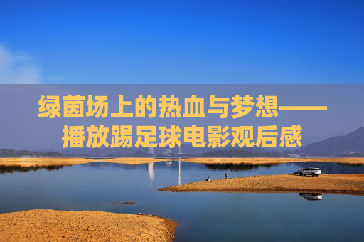 绿茵场上的热血与梦想——播放踢足球电影观后感