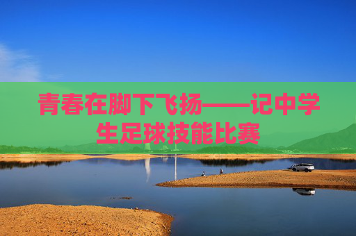 青春在脚下飞扬——记中学生足球技能比赛