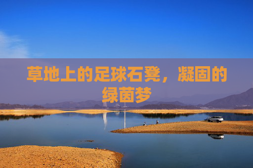 草地上的足球石凳，凝固的绿茵梦