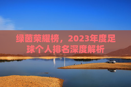 绿茵荣耀榜,2023年度足球个人排名深度解析