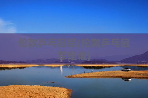 伦敦乒乓冠军(伦敦乒乓冠军是谁)