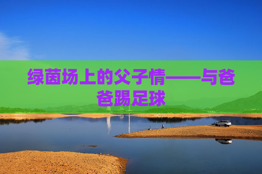 绿茵场上的父子情——与爸爸踢足球