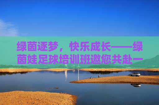 绿茵逐梦,快乐成长——绿茵娃足球培训班邀您共赴一场足球之约