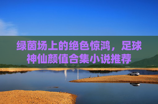 绿茵场上的绝色惊鸿,足球神仙颜值合集小说推荐