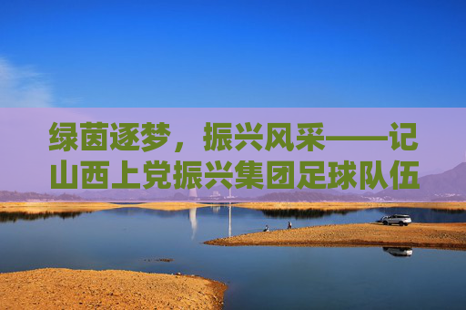 绿茵逐梦,振兴风采——记山西上党振兴集团足球队伍的拼搏与激情