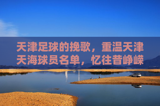 天津足球的挽歌,重温天津天海球员名单,忆往昔峥嵘岁月