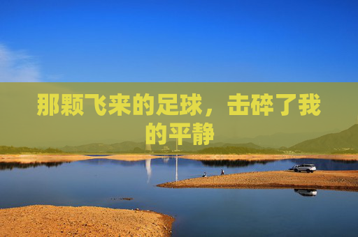 那颗飞来的足球,击碎了我的平静