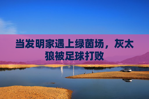 当发明家遇上绿茵场,灰太狼被足球打败