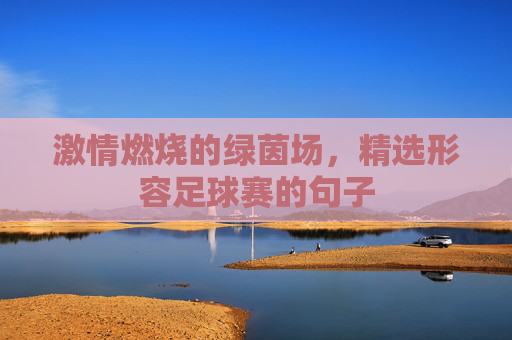 激情燃烧的绿茵场,精选形容足球赛的句子