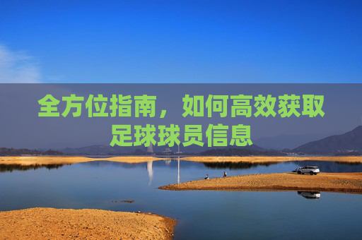 全方位指南,如何高效获取足球球员信息