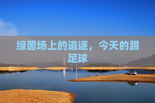 绿茵场上的追逐,今天的踢足球