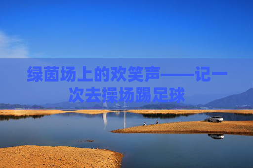 绿茵场上的欢笑声——记一次去操场踢足球
