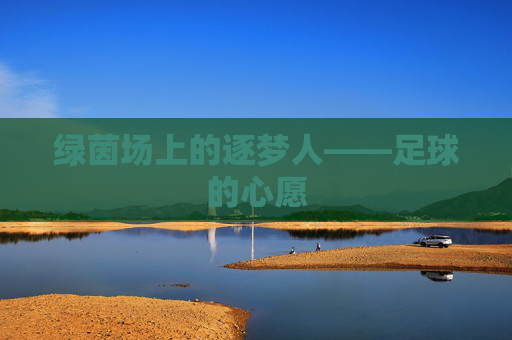绿茵场上的逐梦人——足球的心愿