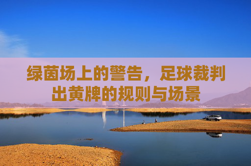 绿茵场上的警告,足球裁判出黄牌的规则与场景