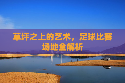 草坪之上的艺术,足球比赛场地全解析