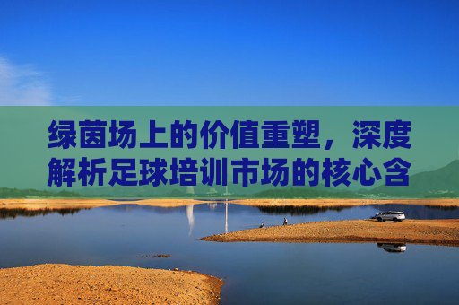 绿茵场上的价值重塑,深度解析足球培训市场的核心含义