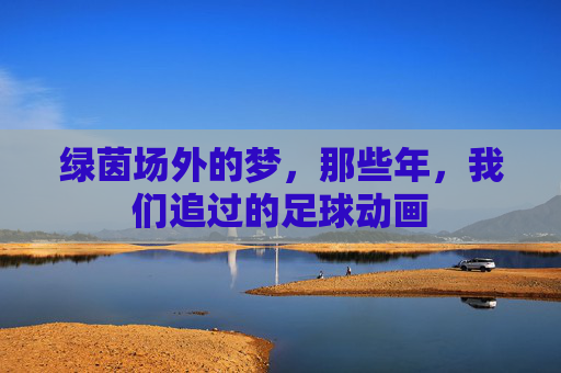 绿茵场外的梦,那些年,我们追过的足球动画