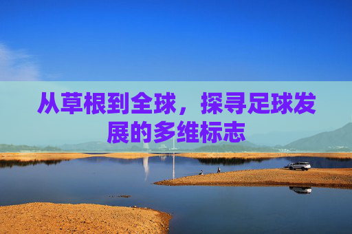 从草根到全球，探寻足球发展的多维标志